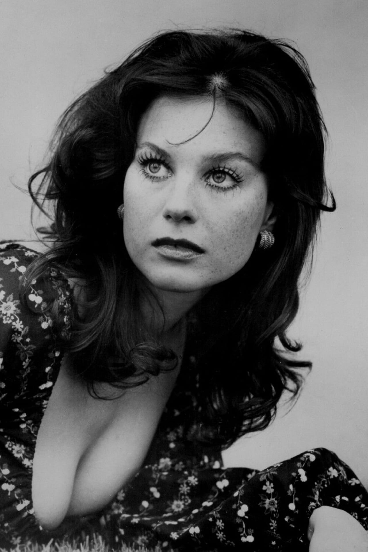 Lana wood tits